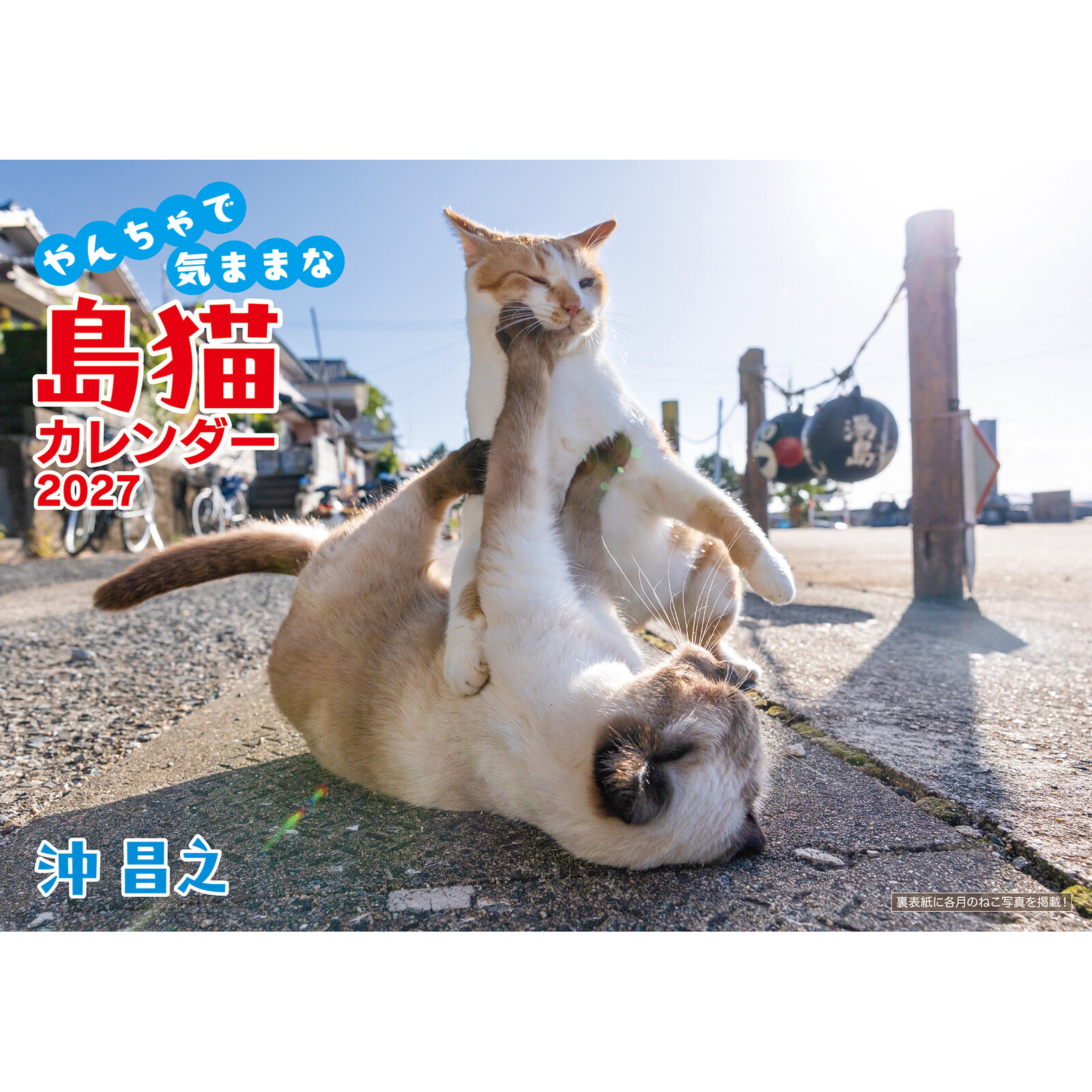 2027 장난꾸러기 섬 고양이 달력 일본달력 벽걸이캘린더 상세 이미지 1