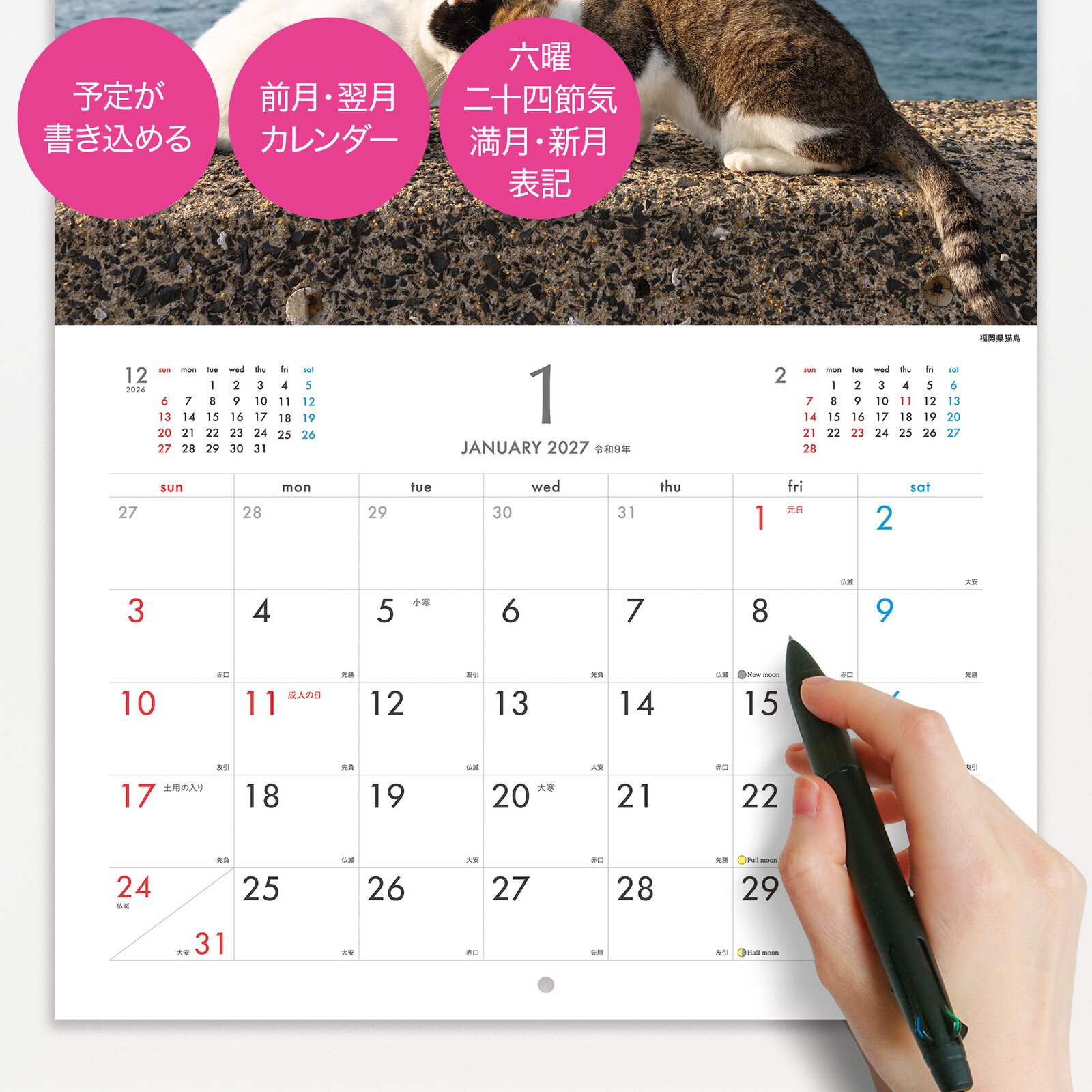 2027 장난꾸러기 섬 고양이 달력 일본달력 벽걸이캘린더 상세 이미지 5