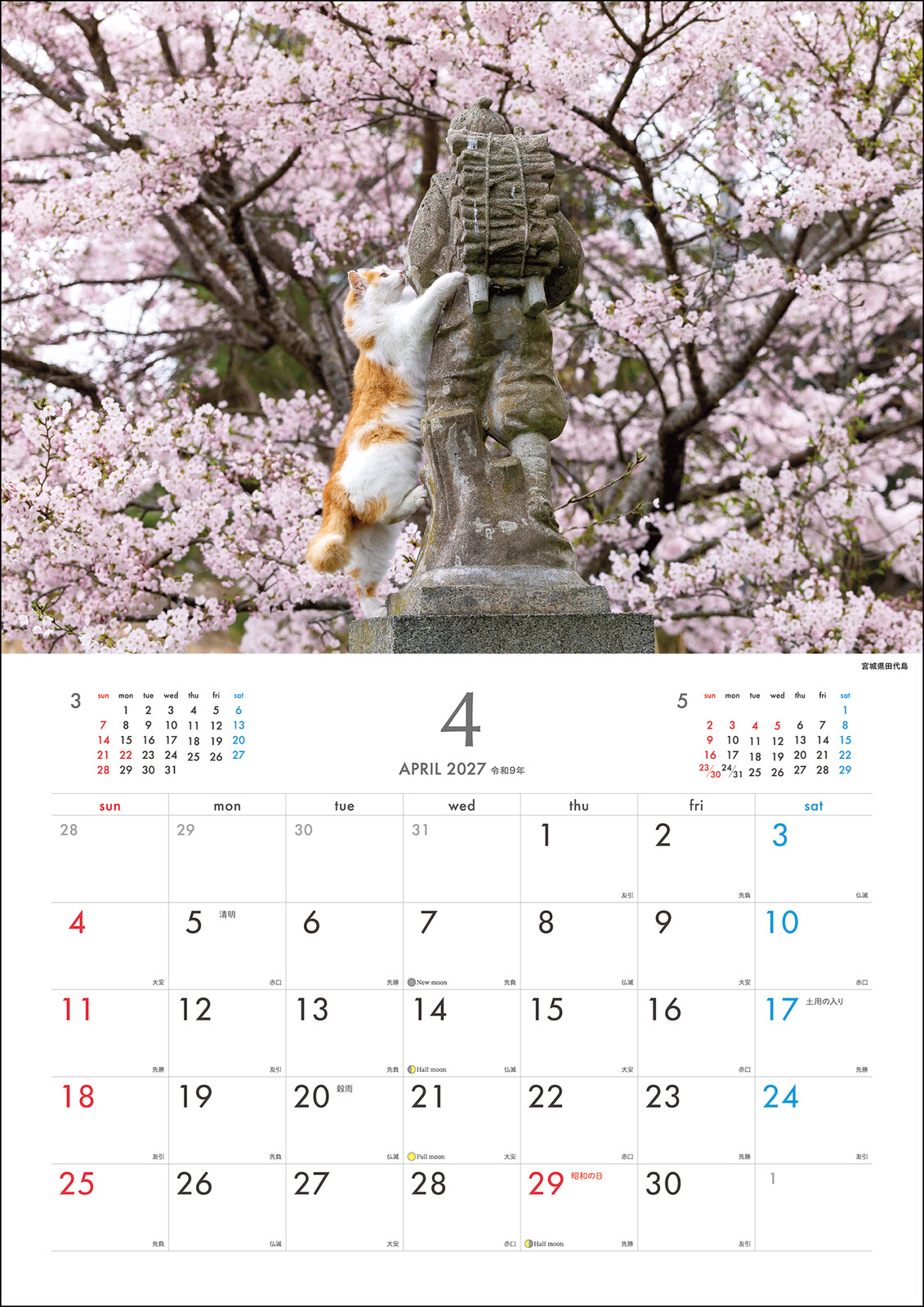 2027 장난꾸러기 섬 고양이 달력 일본달력 벽걸이캘린더 상세 이미지 8