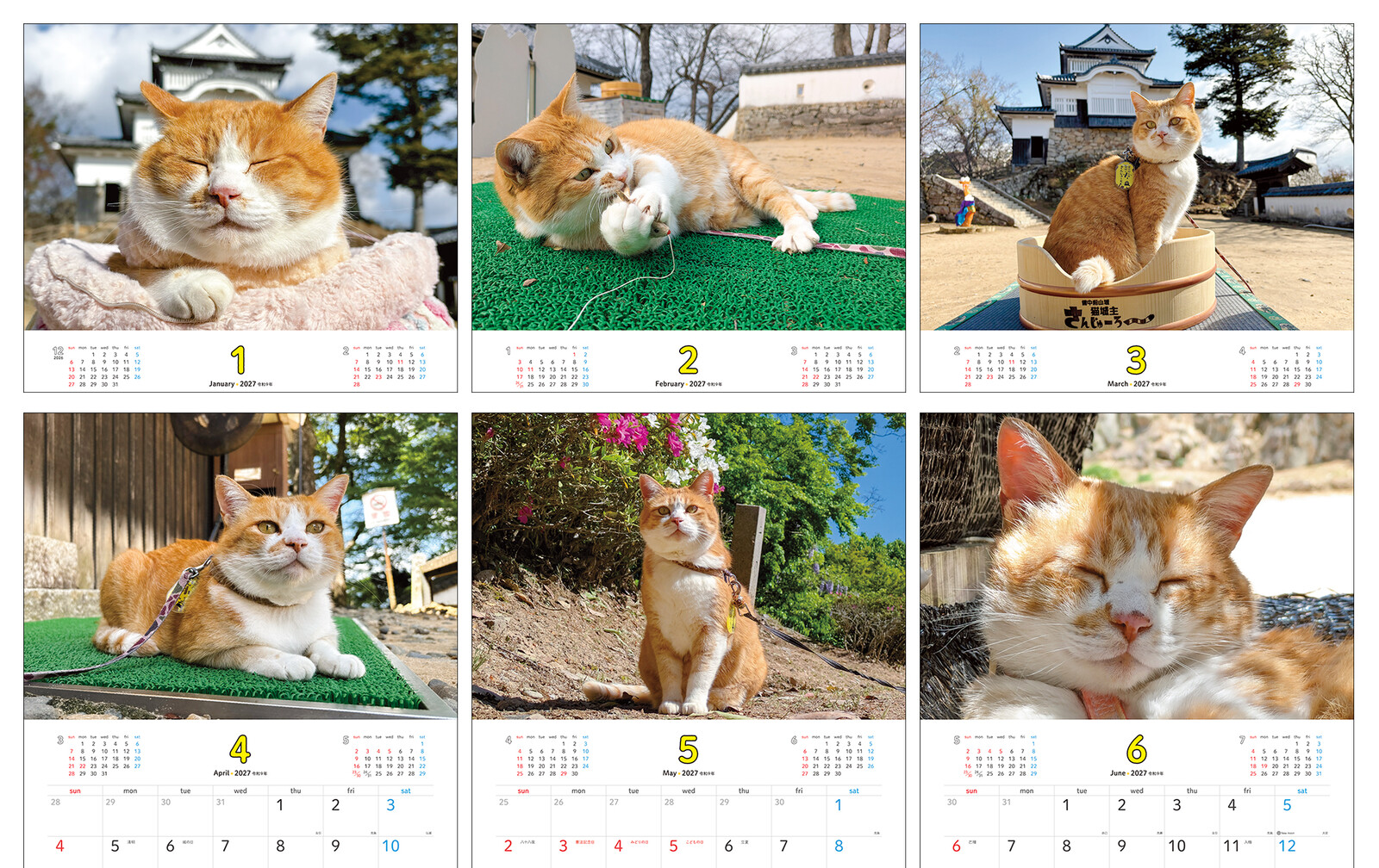2027 고양이 성주 쥬로 달력 치즈고양이 캘린더 상세 이미지 2