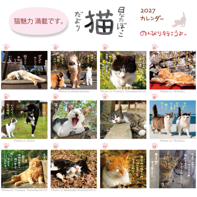 2027 햇볕 아래 고양이 달력 벽걸이캘린더 상세 이미지 5