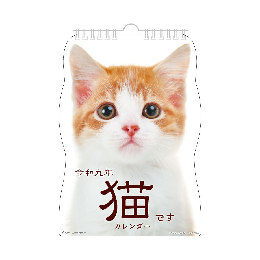 2027 고양이 벽걸이 달력 귀여운달력 캘린더 선물 상세 이미지 1