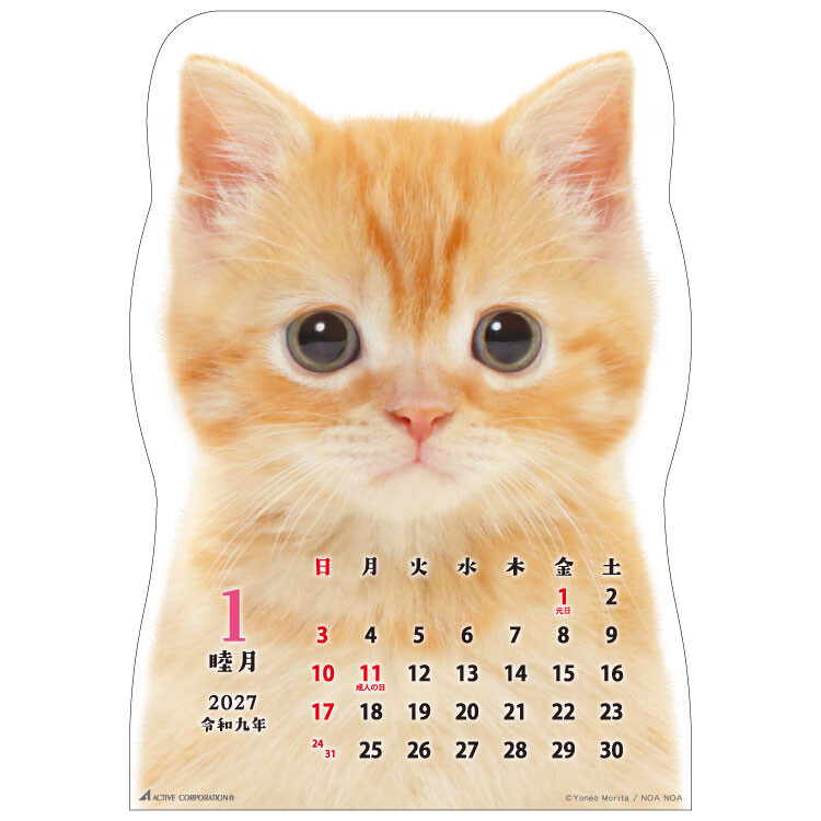 2027 고양이 벽걸이 달력 귀여운달력 캘린더 선물 상세 이미지 2