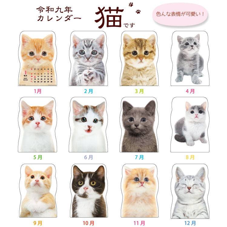 2027 고양이 벽걸이 달력 귀여운달력 캘린더 선물 상세 이미지 3