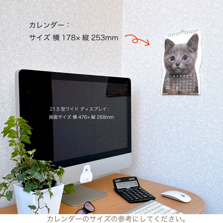 2027 고양이 벽걸이 달력 귀여운달력 캘린더 선물 상세 이미지 4